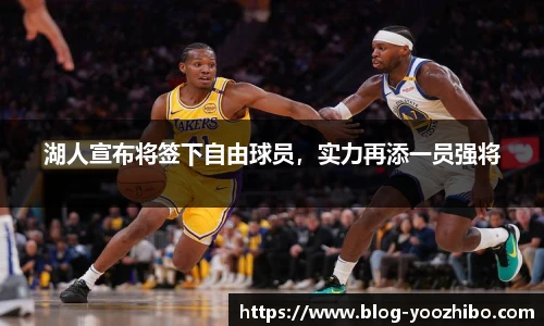 湖人宣布将签下自由球员，实力再添一员强将