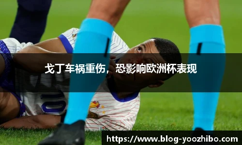 戈丁车祸重伤，恐影响欧洲杯表现