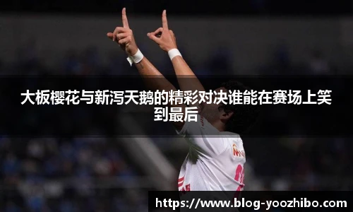 大板樱花与新泻天鹅的精彩对决谁能在赛场上笑到最后