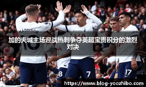 加的夫城主场迎战热刺争夺英超宝贵积分的激烈对决